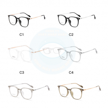 Gọng nhựa càng kính titanium mã 8138